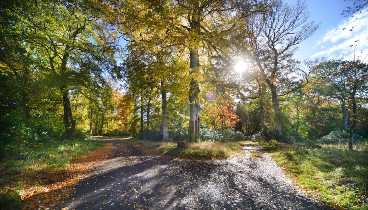 Loch Lomond Finnich Cottages Дрімен Екстер'єр фото